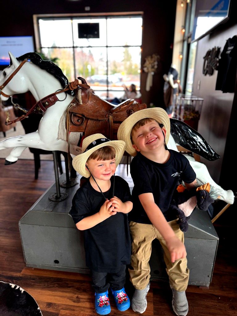 western coin horse