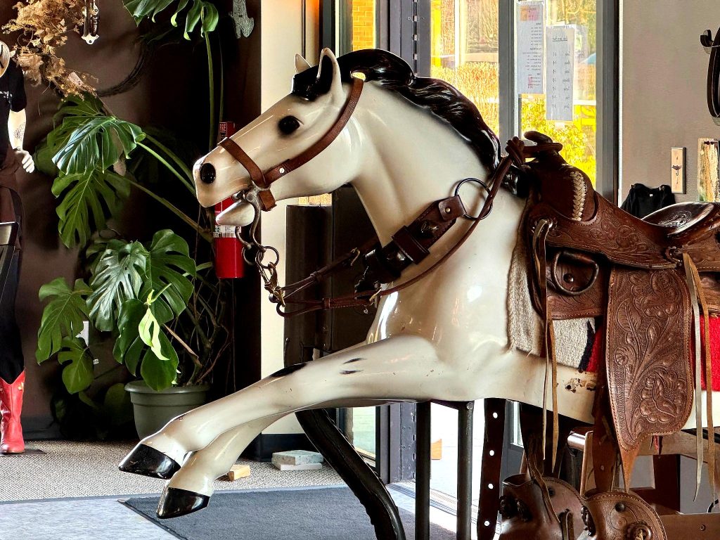 western coin horse