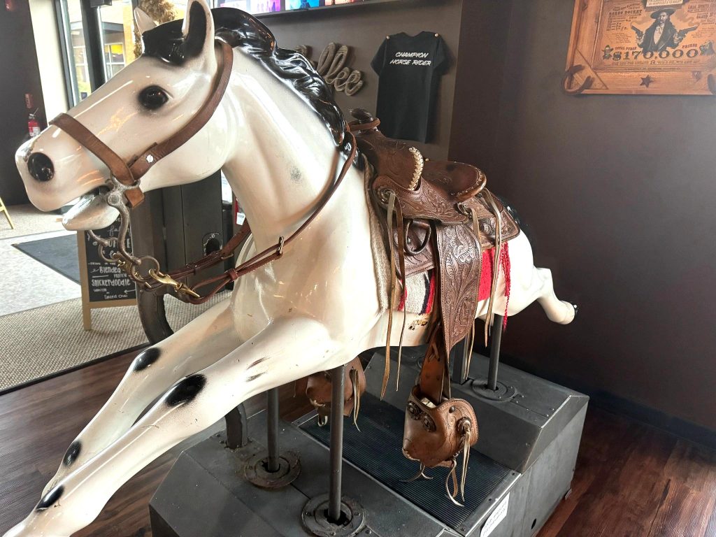 western coin horse